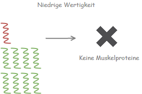 Niedrige Biologische Wertigkeit