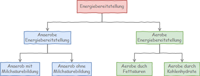 Aerober und anaerober Stoffwechsel