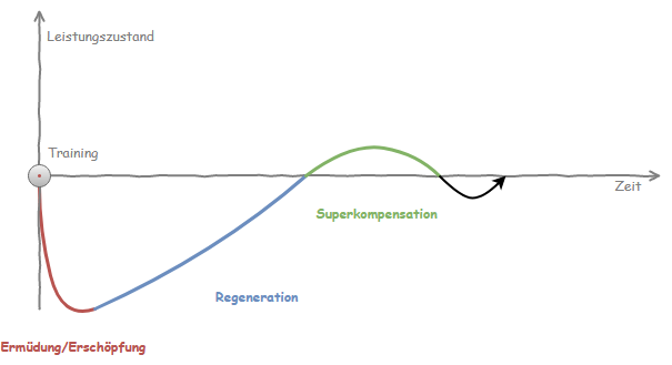 Superkompensationsmodell Erklärung