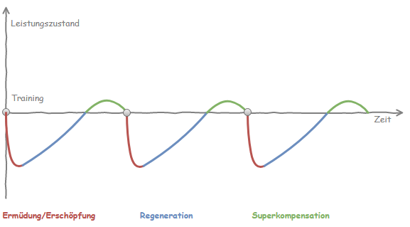 Superkompensationsmodell Stagnation