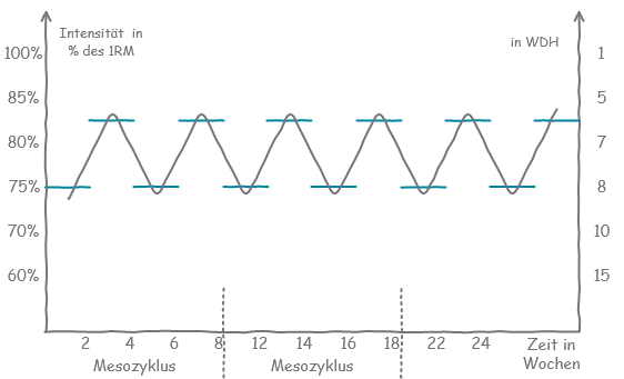 Fortgeschrittener Trainingsplan als periodisierte 2-Split Variante