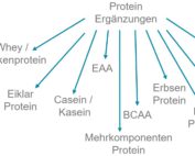 Proteinpulver Produktarten