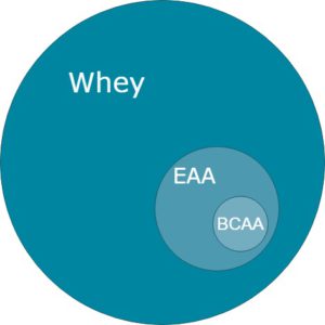 Aminosäurepulver Whey BCAA EAA im Vergleich