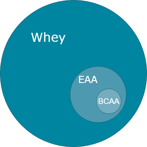Whey BCAA EAA im Vergleich